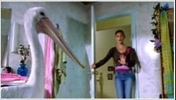 poze - raluca - Cleo