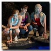 :cool: poze h2o